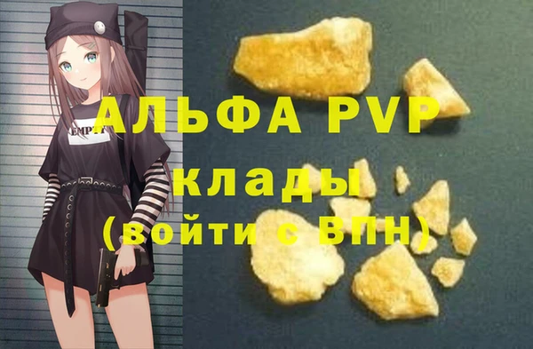 винт Галич
